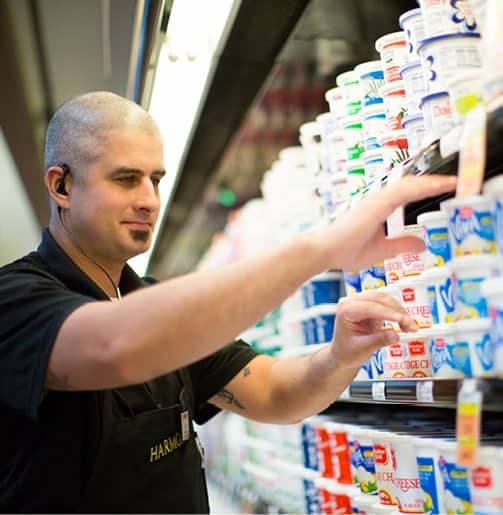 Harmons associate stocking yogurt and cottage cheese in the refrigerated dairy case