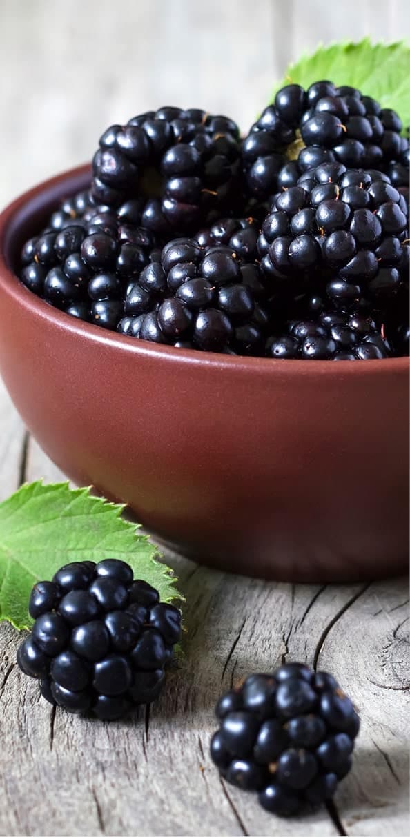 Bowl of fresh blackberries with green leaves